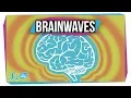What Do Different Brainwaves Mean