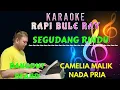 Download Lagu SEGUDANG RINDU - Camelia Malik | Karaoke | Nada Pria | Lirik
