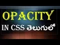 Opacity Transparent property in CSS in Telugu Kotha Abhishek