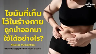  ทำไมร่างกายจึงเริ่มใช้ไขมันเป็นพลังงานเมื่อไม่ได้กินอาหารมานาน 