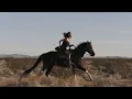 Download Lagu Deftones - Swerve City [Official Music Video] [4K]
