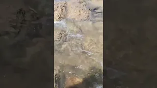 اكسبلور واد ام الربيع صوت المياه راحة نفسية تيك توك 