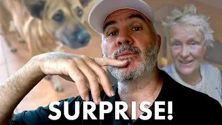 BOAT WORK: NASTY and NICE 😳🥁 | Sailboat Maintenance Ep 342