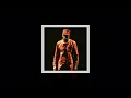 Mother - Camp Flog Gnaw 2025 Ver. - Tyler, The Creator (FIXED VER.)