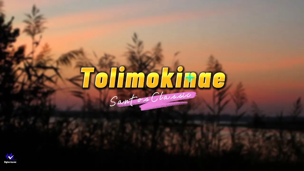 TOLIMOKINAE-_- SANTOS CLASSIC (LYRICS VIDEO)