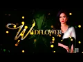 PINOY CHANNEL PINOY AKO ONLINE TAMBAYAN PINOY TV Watch Pinoy Tube Pinoy Tambayan