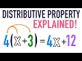 Distributive Property of Multiplication Explained