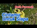 Download Lagu Cintamu Untuk Siapa Ratih Purwasih hati Seindah Rembulan Di Malam Ini Ketika Kau Ketuk Pintu Rumahku MP3