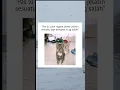 Download Lagu #malu #memes #shorts #story #funny #fyp #viral #status #lucu #bapak #jokes #joke #kucing #salah