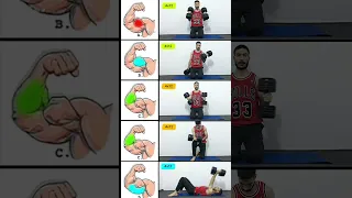 Arms Exercises تمارين الذراع  Arms Exercises تمارين الذراع