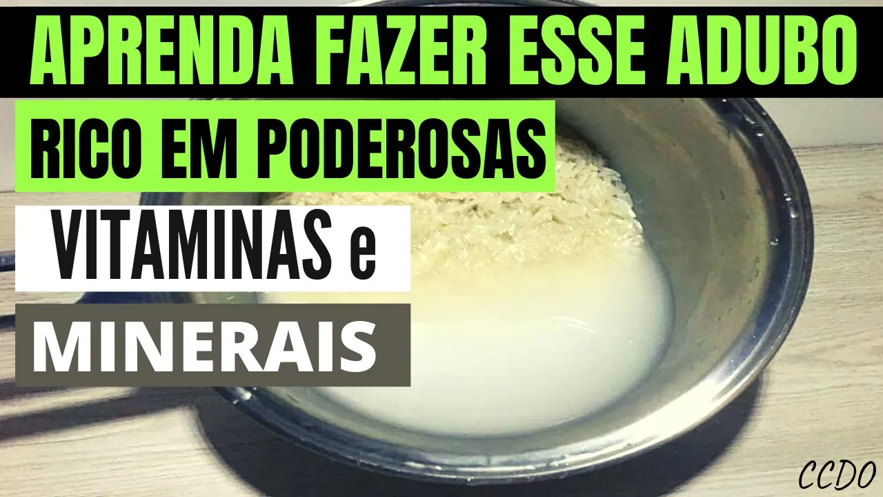 ADUBO ENRAIZADOR COM ÁGUA DE ARROZ BOM PARA FLORES EM ORQUÍDEAS E PLANTAS FERTILZNTE NATURAL CASEIRO