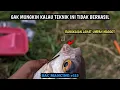 Download Lagu DISIKSA TAWES J4H4N4M!! MANCING TEKNIK PELAMPUNG ARUS DERAS