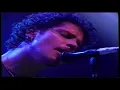 Soundgarden Fell On Black Days Live in Japan 1994