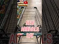 NEW ARRIVALS DAY DOLLAR TREE SHOP WITH ME DOLLAR TREE