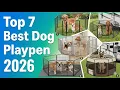 Top 7 Best Dog Playpens 2026 Indoor Outdoor RV Heavy-Duty Options Compared