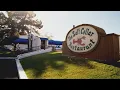 Visit the Salt Cellar Restaurant in Arizona for Some of the Best Seafood You ll Ever Have