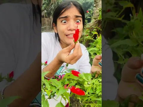 Red chili 🌶️🥵😤#chili