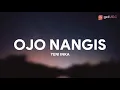 Download Lagu OJO NANGIS - Yeni Inka Lirik