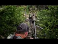 Bull tips over in sight roosevelt archery elk