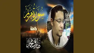 طارق محمد سورة مريم 