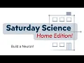 Saturday Science Home Edition - Build-a-Neuron