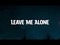 Logan Michael - Leave Me Alone  ( Music Video Lyrics )