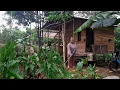 Download Lagu 🌙🌿 Malam di Tengah Hutan, Bersih-Bersih Pondok Baru di Atas Sungai 🌊