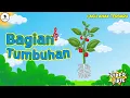Lagu Lagu Bagian Tumbuhan 🌳 - Lagu Anak Terbaru (Video Lirik) Song of Kids