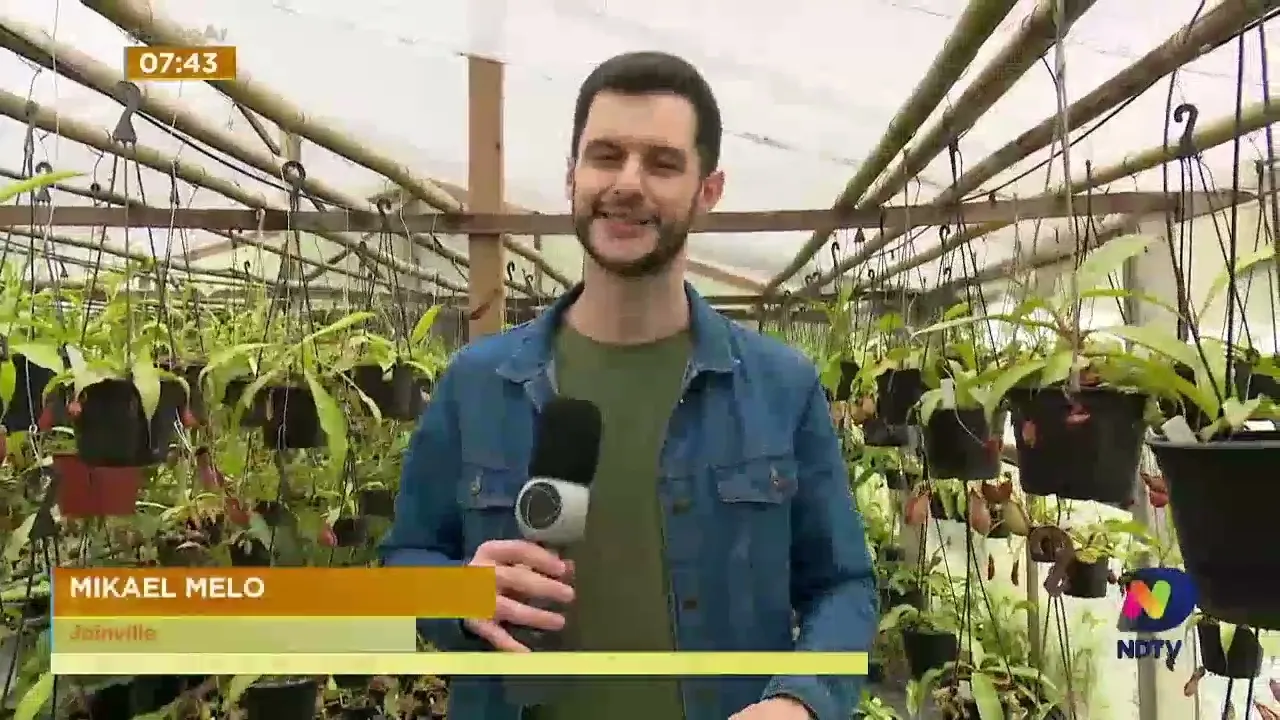 Joinville: Colecionador é destaque nacional na produção de plantas carnívoras