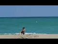 haulover dog beach Florida