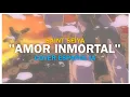 Lagu Saint Seiya Hades OP 1 | Amor Inmortal (Chikyuugi) | Cover Español IA