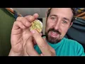 Collector's Bitcoin Coin, Commemorative Crypto Token, A Single Bitcoin That Starts Endless Conversat