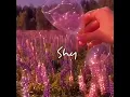 Download Lagu \
