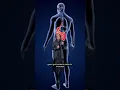 Download Lagu How your organs heal after quitting alcohol #Alcohol #Health