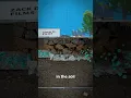 How Sinkholes Work