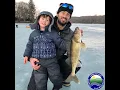 Stocking Walleye Fingerlings into Connecticut Lakes