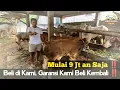 Download Lagu Mulai Harga 9 Juta Sudah Dapat Sapi Bakalan Supeerrrr !! Beli di Kami Garansi Beli Kembali !!