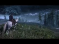 Witcher 3 Soundtrack - Outside Novigrad - Tretogor Gate Midnight