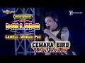 Download Lagu CEMARA BIRU Siska Valentina NEW PALLAPA CAMELL Pati