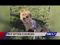 Pet sitter charged in St Charles County