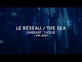 Download Lagu Code Lyoko - Into the sea (Fan Ambiance/ASMR - 1 Hour Loop)