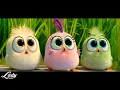 J Geco - Chicken Song The Angry Birds