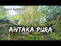 Download Lagu ANTAKA PURA, CINTA SEJATI SANG RATU YANG BERAKHIR TRAGIS || GUNUNG KELIR BANTUL