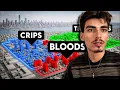 New York Gang Wars Explained