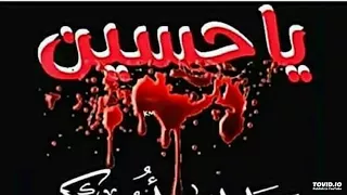 mustafa gadon kaya husainiyya 2