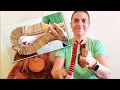 Download Lagu Kokiriko, Binzasara - musical instrument from Japan