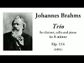 Brahms: Clarinet Trio in A minor, Op. 114 (with Score)