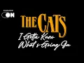 Lagu The Cats - I Gotta Know What's Going On (Karaoke)