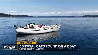60 total cats rescued from onboard Tacoma boat
