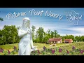 They display her finger on the counter Sincerely Stafford Ep 3 Potomac Point Winery